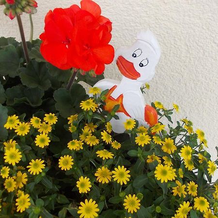 Pension Und Weingut Moselblick ブラウンエーベルク エクステリア 写真