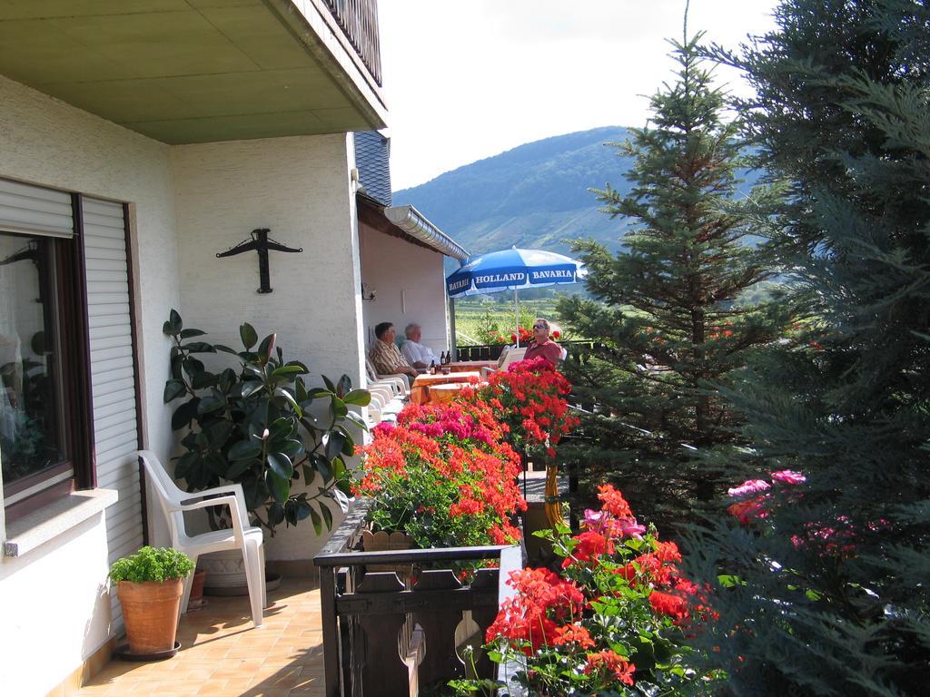 Pension Und Weingut Moselblick ブラウンエーベルク エクステリア 写真