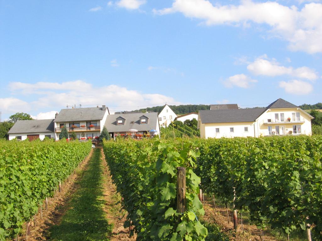 Pension Und Weingut Moselblick ブラウンエーベルク エクステリア 写真